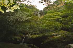 Waterfall Waterfall