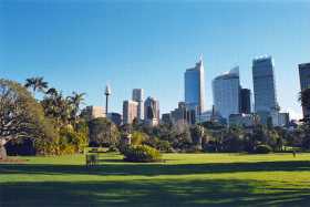 The Sydney Botanic Gardens The Sydney Botanic Gardens