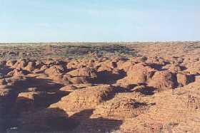 Eroded beehive domes form the lost city at Kings Canyon