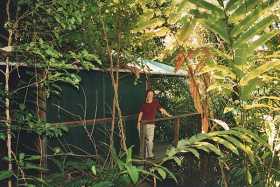 Rainforest hut, Sanctuary in Mission Beach, tropical north QLD