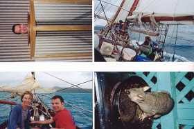 Townsville Tropical Museum, Sailing on the Whitsundays, Possum at Magnetic Island