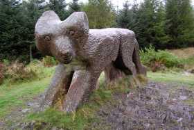 Grizedale fox