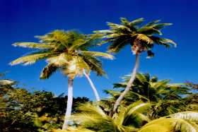 Fiji