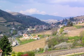 Beaujeu - Beaujolais!