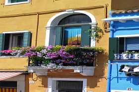 A typical Venetian window box full of flowers seen here on Burano A typical Venetian window box full of flowers seen here on Burano