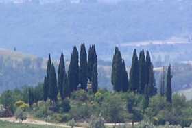 Tuscany
