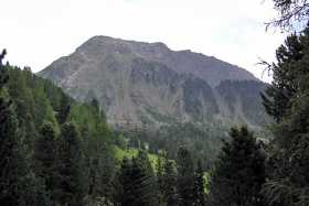 Sarentino