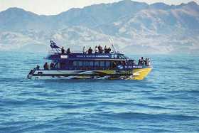 A Whalewatch boat