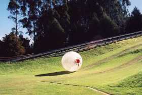 Zorbing in Rotorua