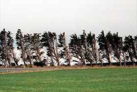 Windy here in Southland Windy here in Southland