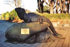 Tuatura Tuatura