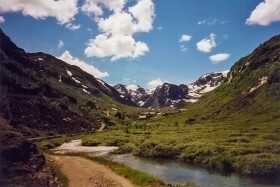 Flaam