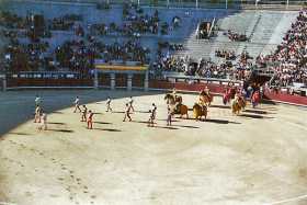The corrida begins
